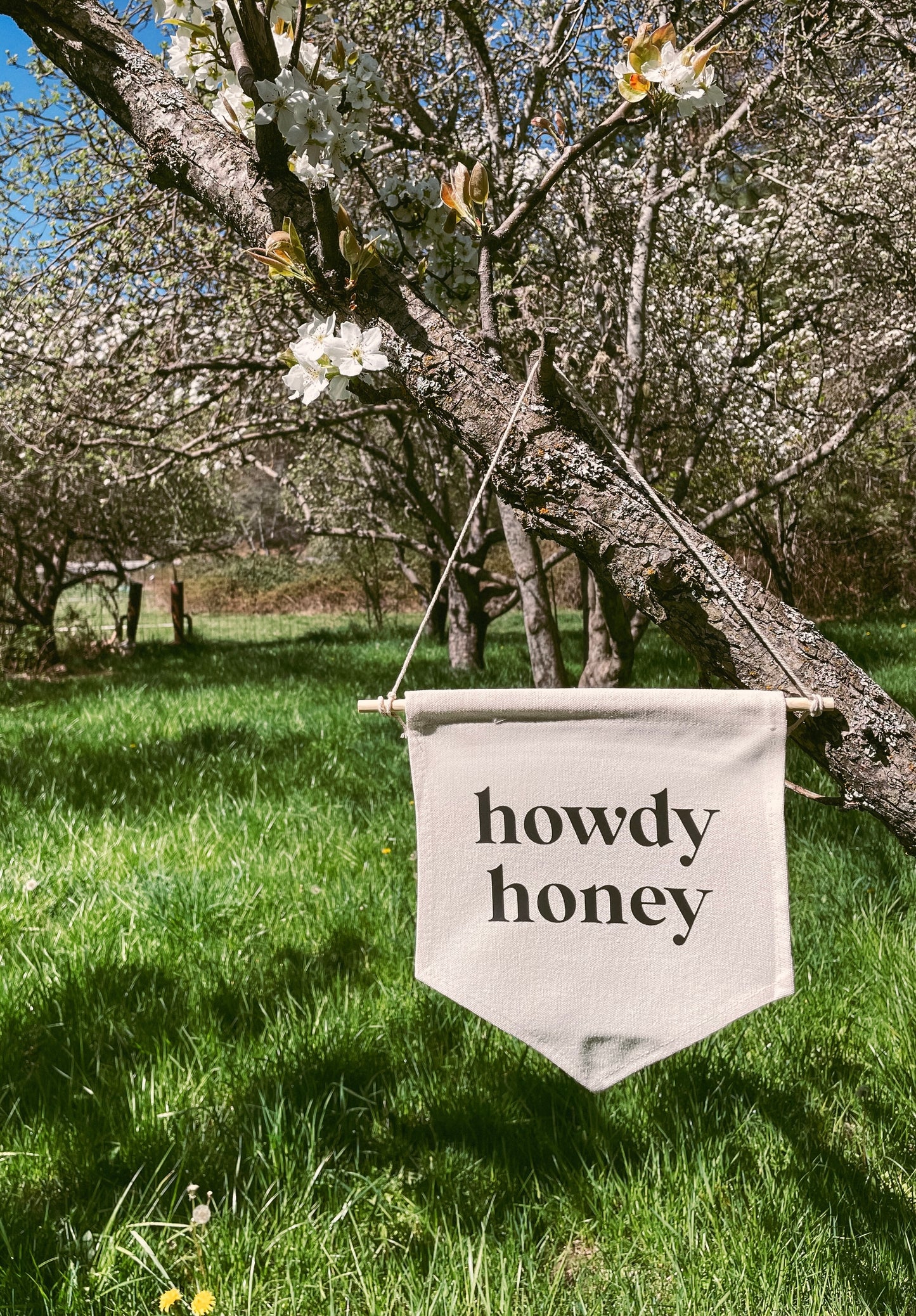 howdy honey canvas wall hanging